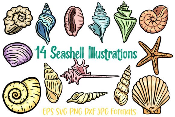14 Seashell Shells Clipart Illustration: Coastal Design Assets